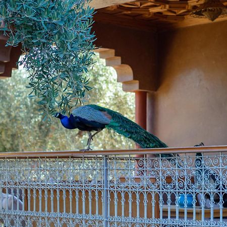 Ferme Sidi Safou Villa Marrakesh Eksteriør billede
