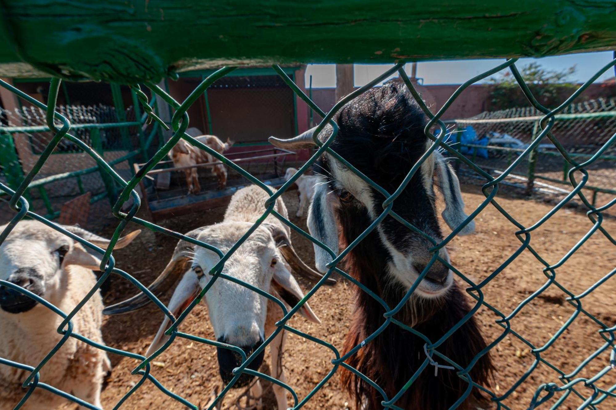 Ferme Sidi Safou Villa Marrakesh Eksteriør billede