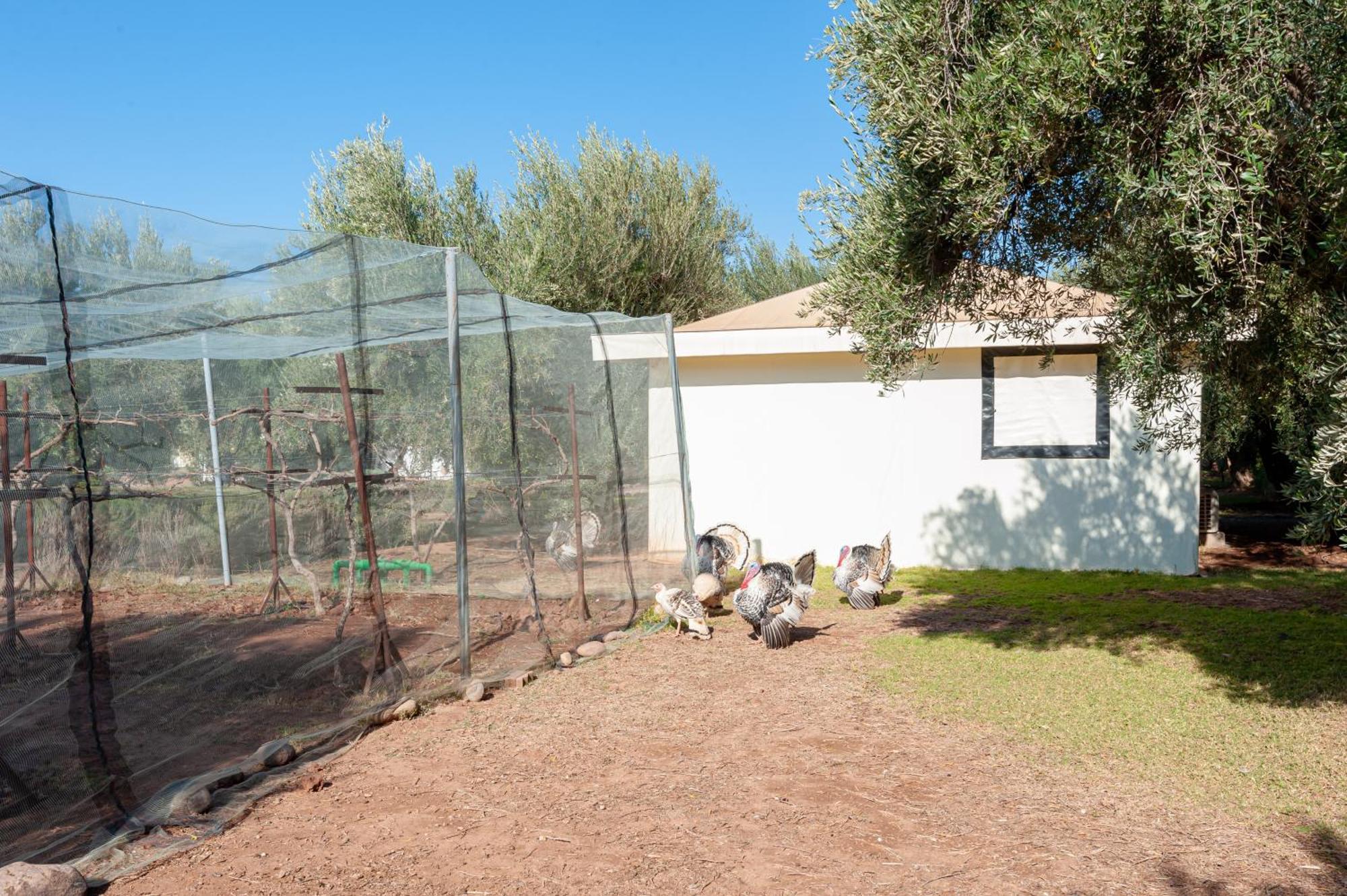 Ferme Sidi Safou Villa Marrakesh Eksteriør billede