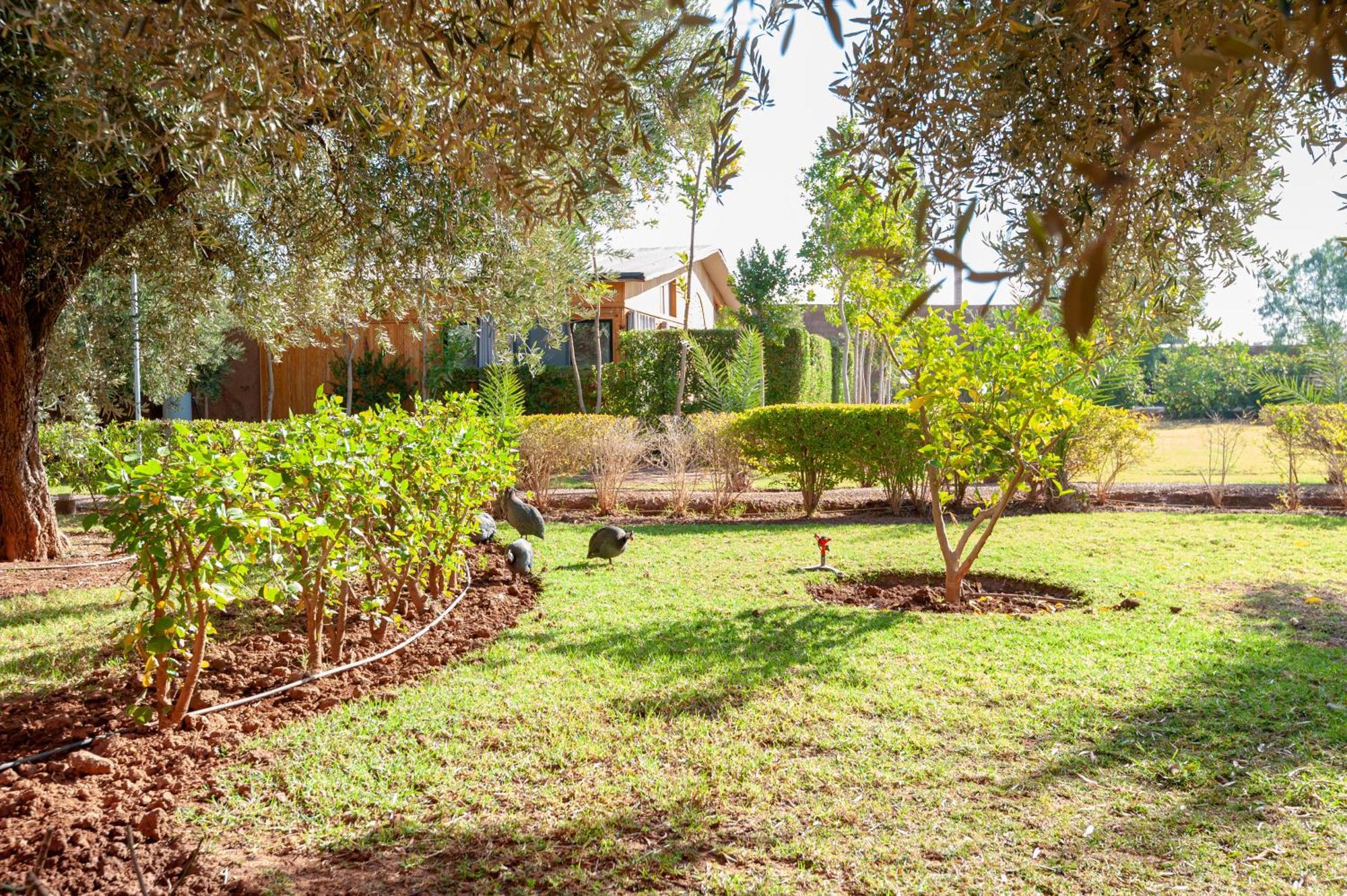 Ferme Sidi Safou Villa Marrakesh Eksteriør billede